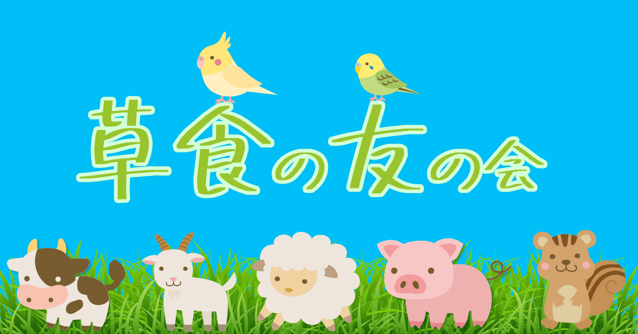 トップ画像
